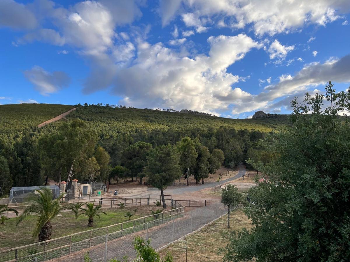 Pedroso de Acim Apartamentos Rurales Casa Josefita מראה חיצוני תמונה